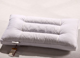 竹碳枕(1)
